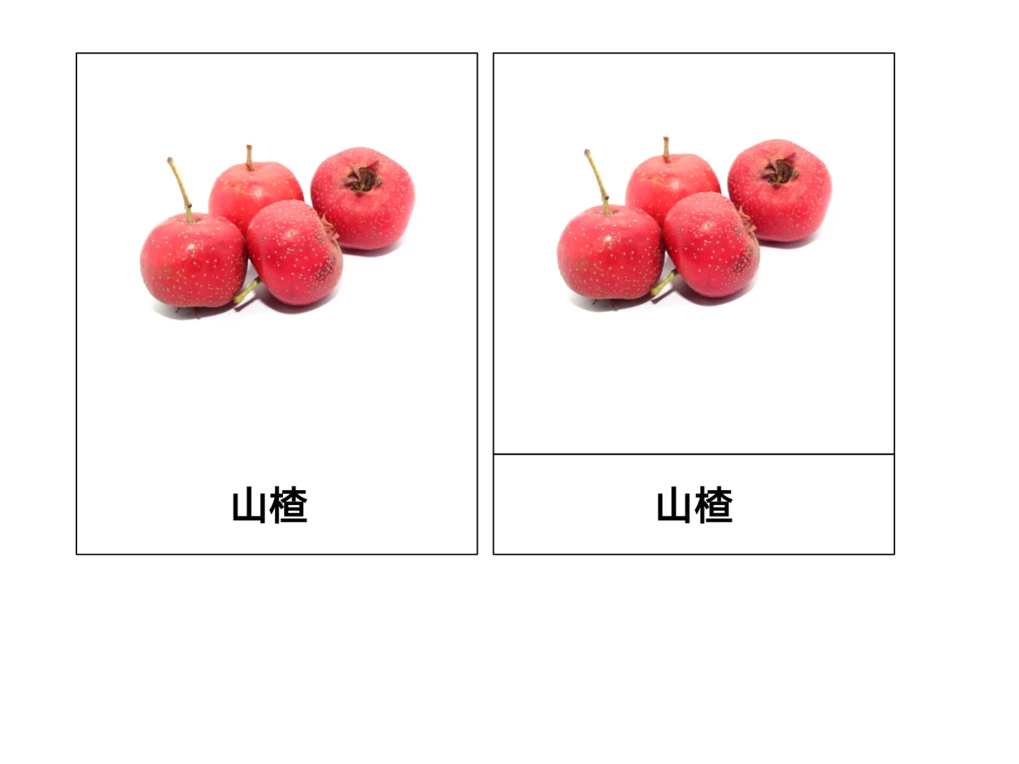 秋天主题-农作物和水果三段卡