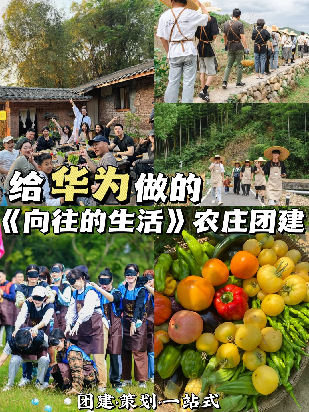 广东团建|《向往的生活》1日解锁综艺感❗