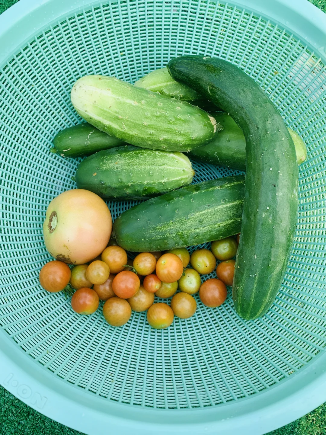 自家种植蔬菜水果