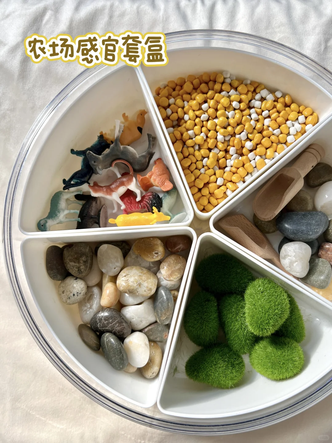 早教感官盆！陪宝宝快乐过家家~