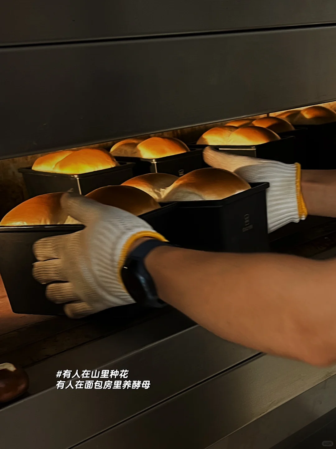 来点我们的烤箱日常?️