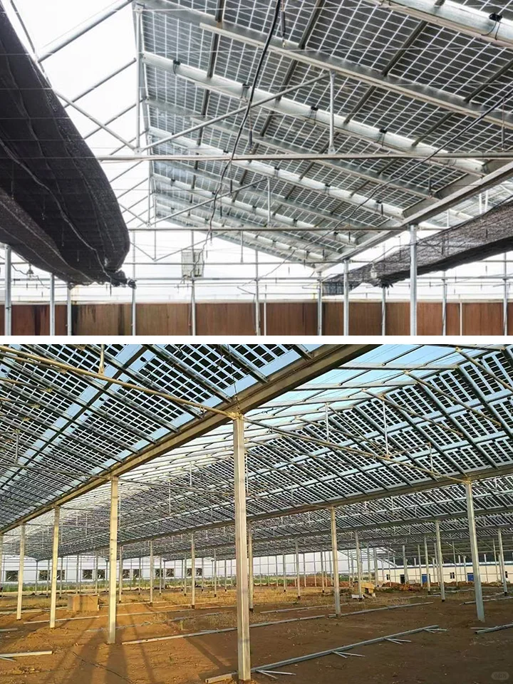 “光伏+农业大棚”结构、设备、作物选择