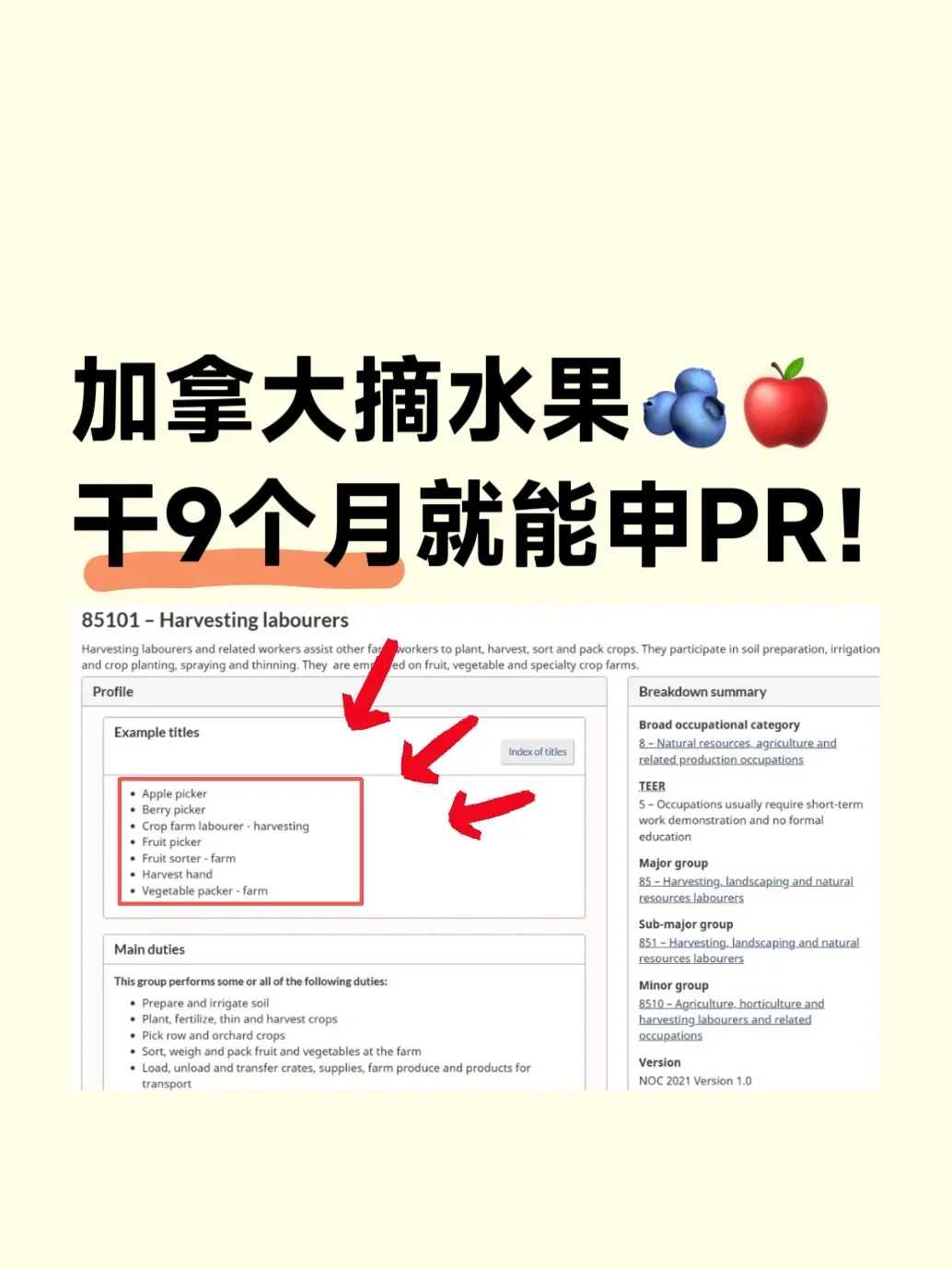 低门槛神仙移民项目:摘9个月苹果申PR!