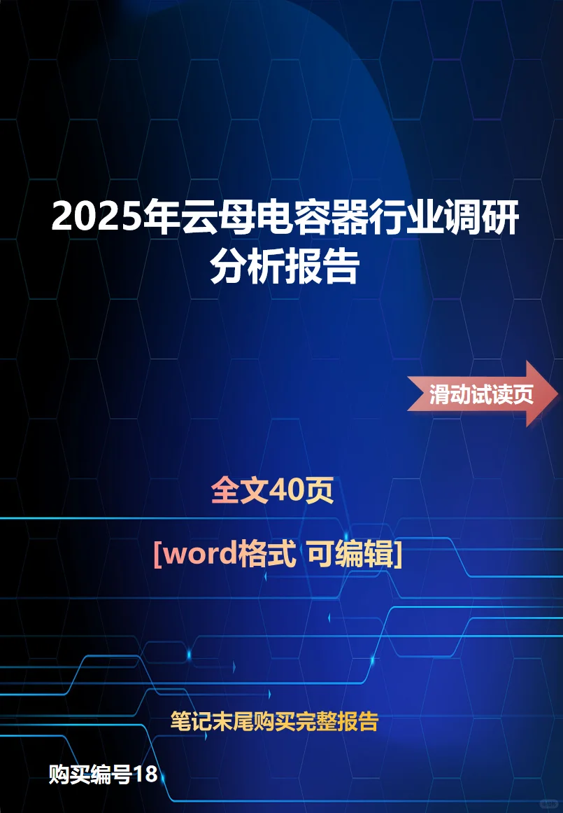 2025年云母电容器行业调研分析报告