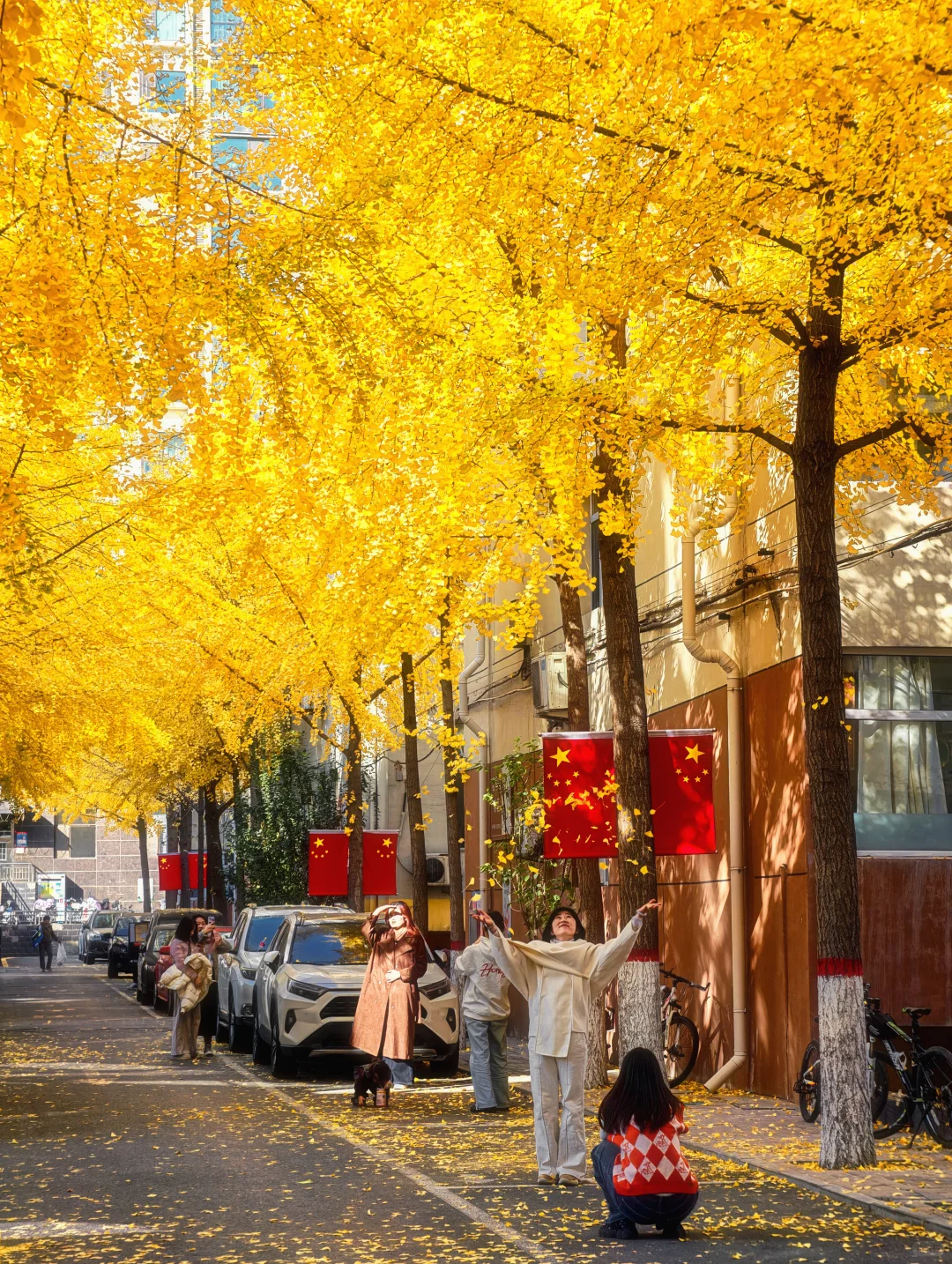 11.4太原老军营银杏?实拍❗(附攻略)