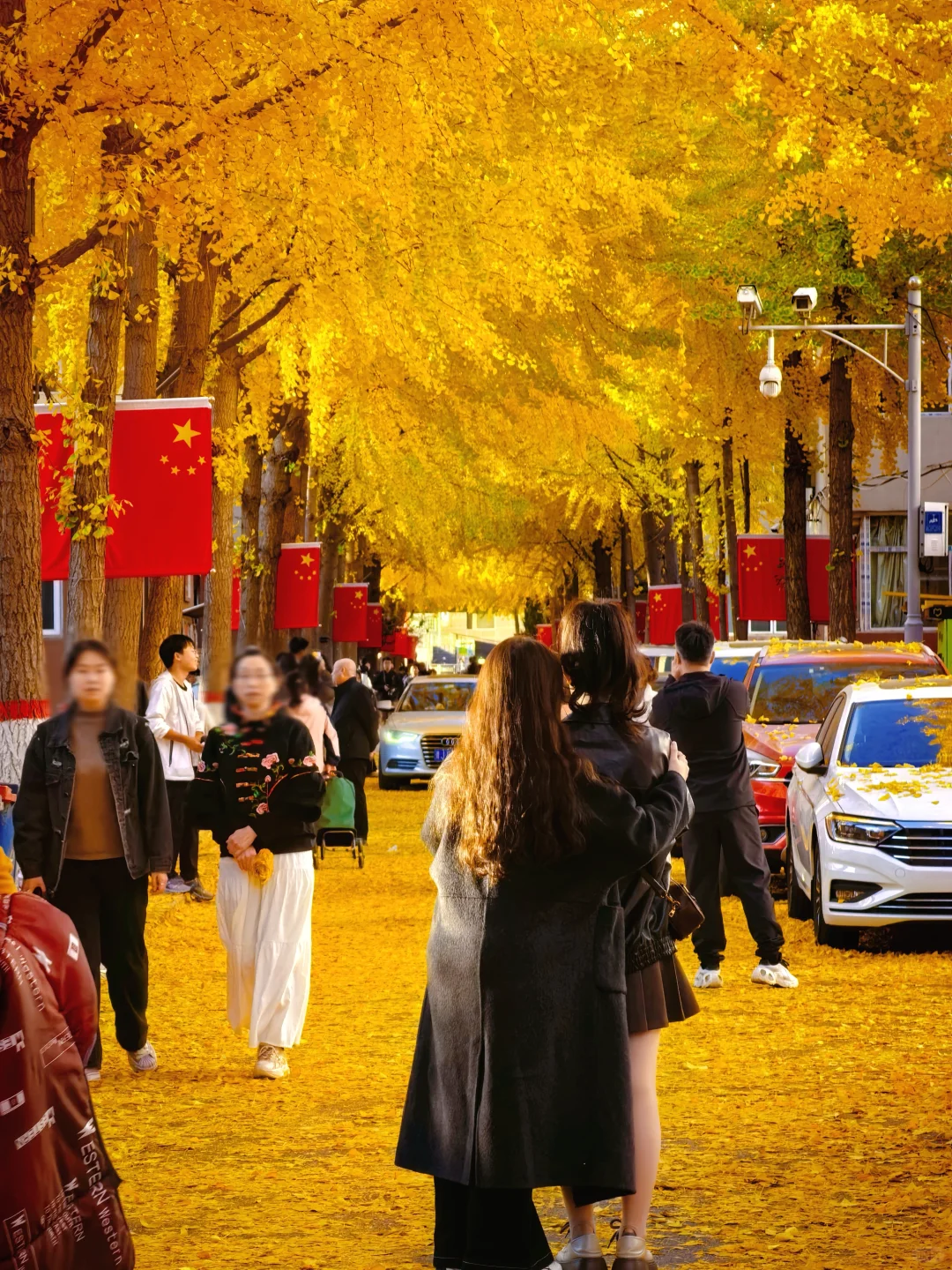 太原的秋天，连小区里也这么好看