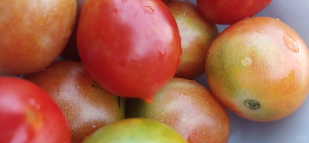 家里的天然水果蔬菜