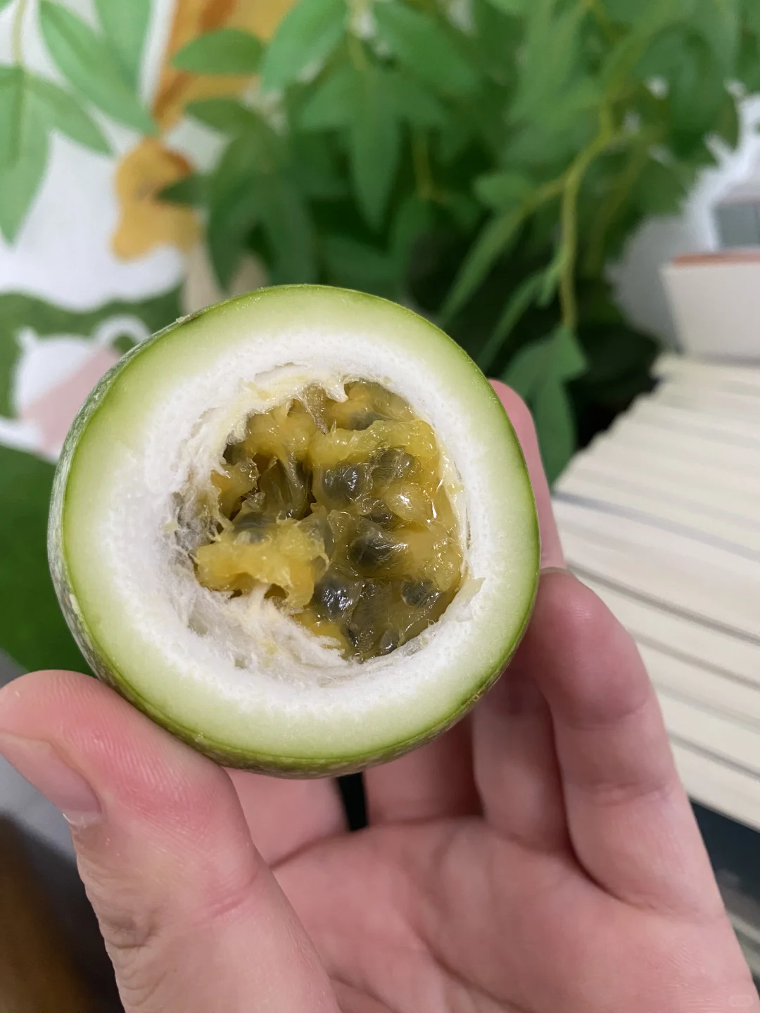 自己种超甜，想吃就吃