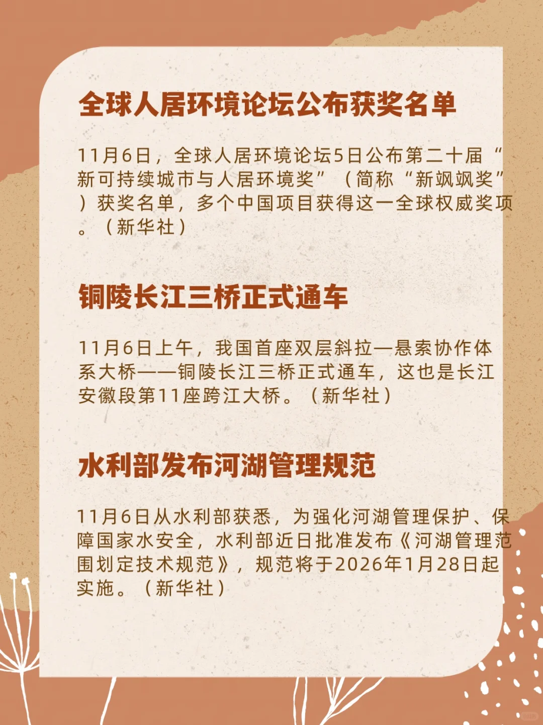 每日时政11月7日?