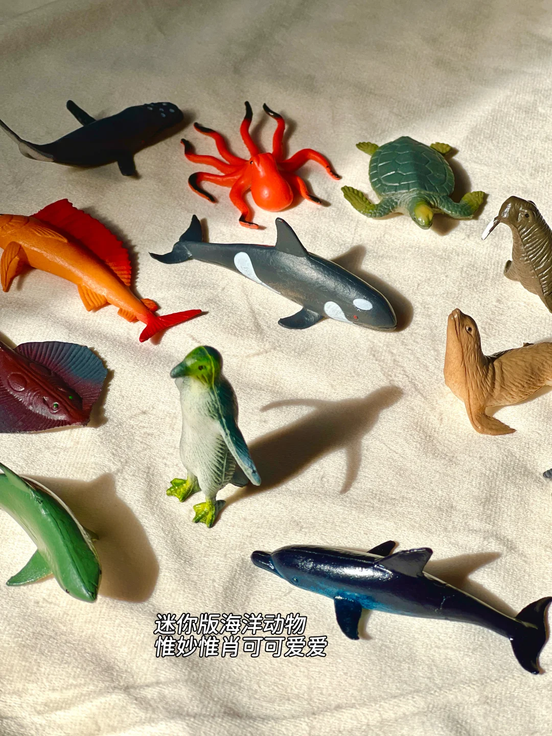 早教感官盆！陪宝宝快乐过家家~