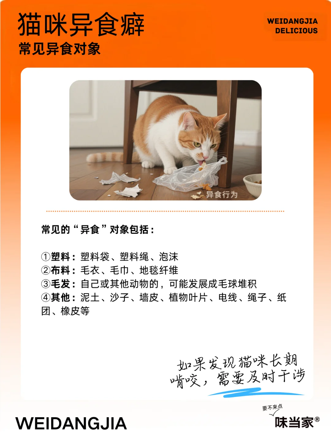 猫吃塑料袋，可能是和异食癖有关