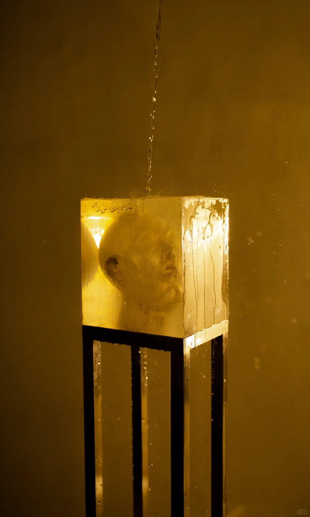 我环绕在光里，变成透明的模样