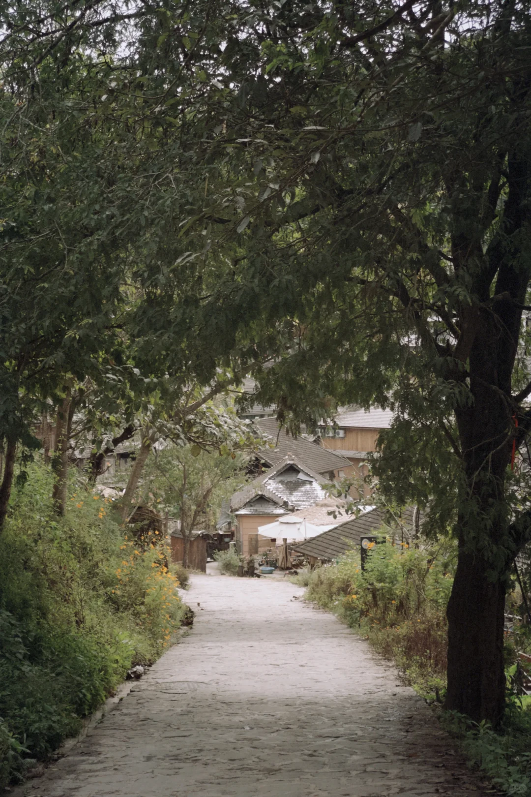 庆幸自己拥有独自探索世界的习惯与能力