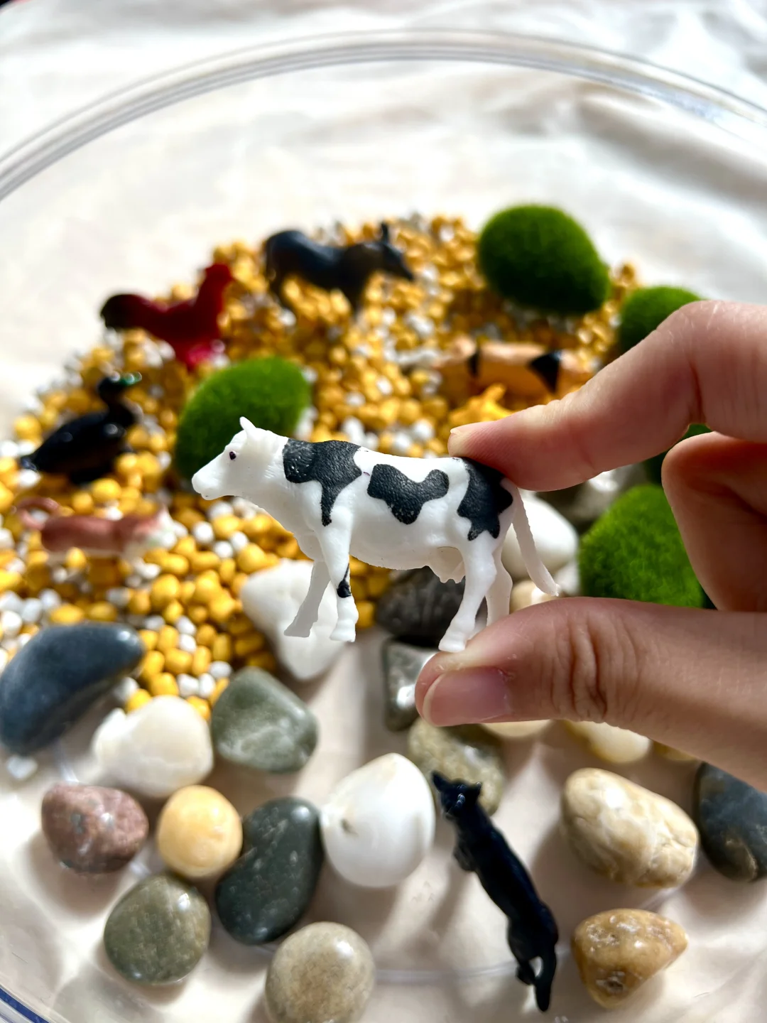 早教感官盆！陪宝宝快乐过家家~