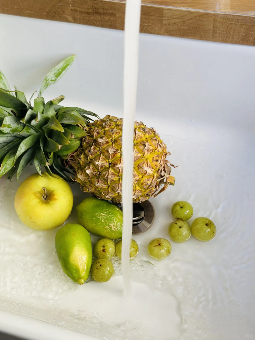 有花园的意义就在此刻了吧～丰收季节