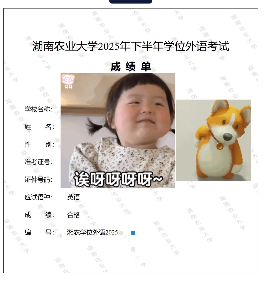 湖南农业大学，中南林业大学学位成绩已出