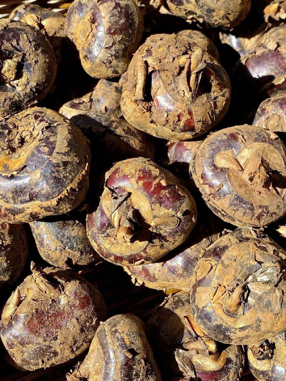 荸荠,你绝对不能错过的绿色果实!?