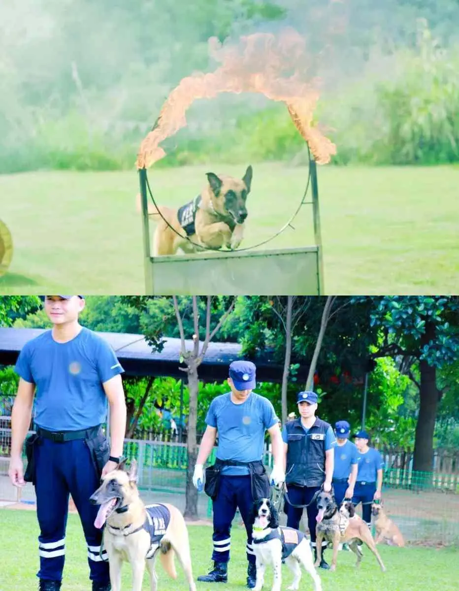 广州11?️遛娃攻略‼️11个工厂参观合集