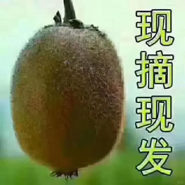 这猕猴桃谁不爱啊！！！