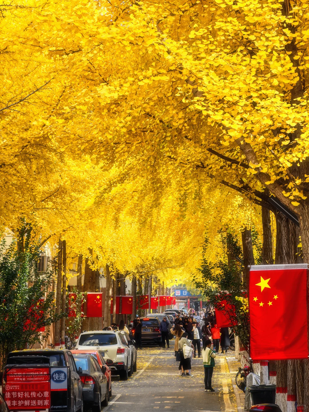 11.4太原老军营银杏?实拍❗(附攻略)