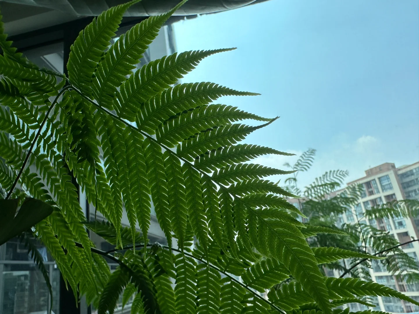 蔬菜、水果和植物～