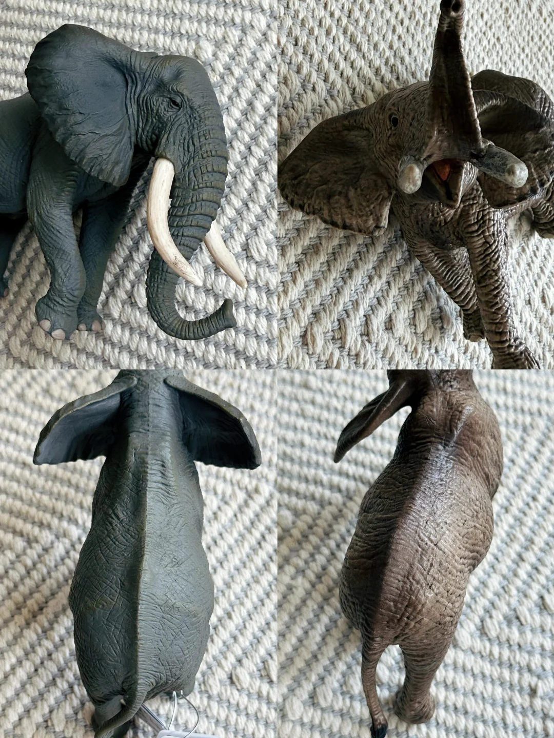 测评｜Schleich和COLLECTA的仿真动物模型