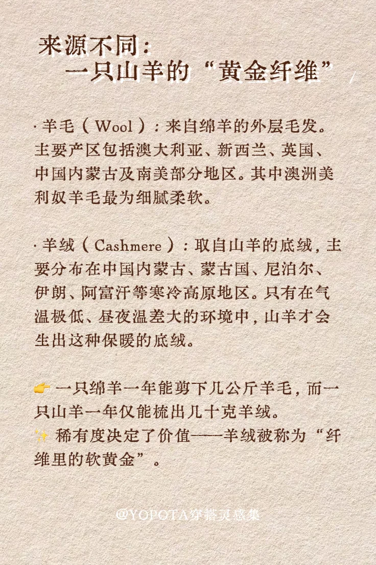 羊绒or羊毛?一篇就看懂!?