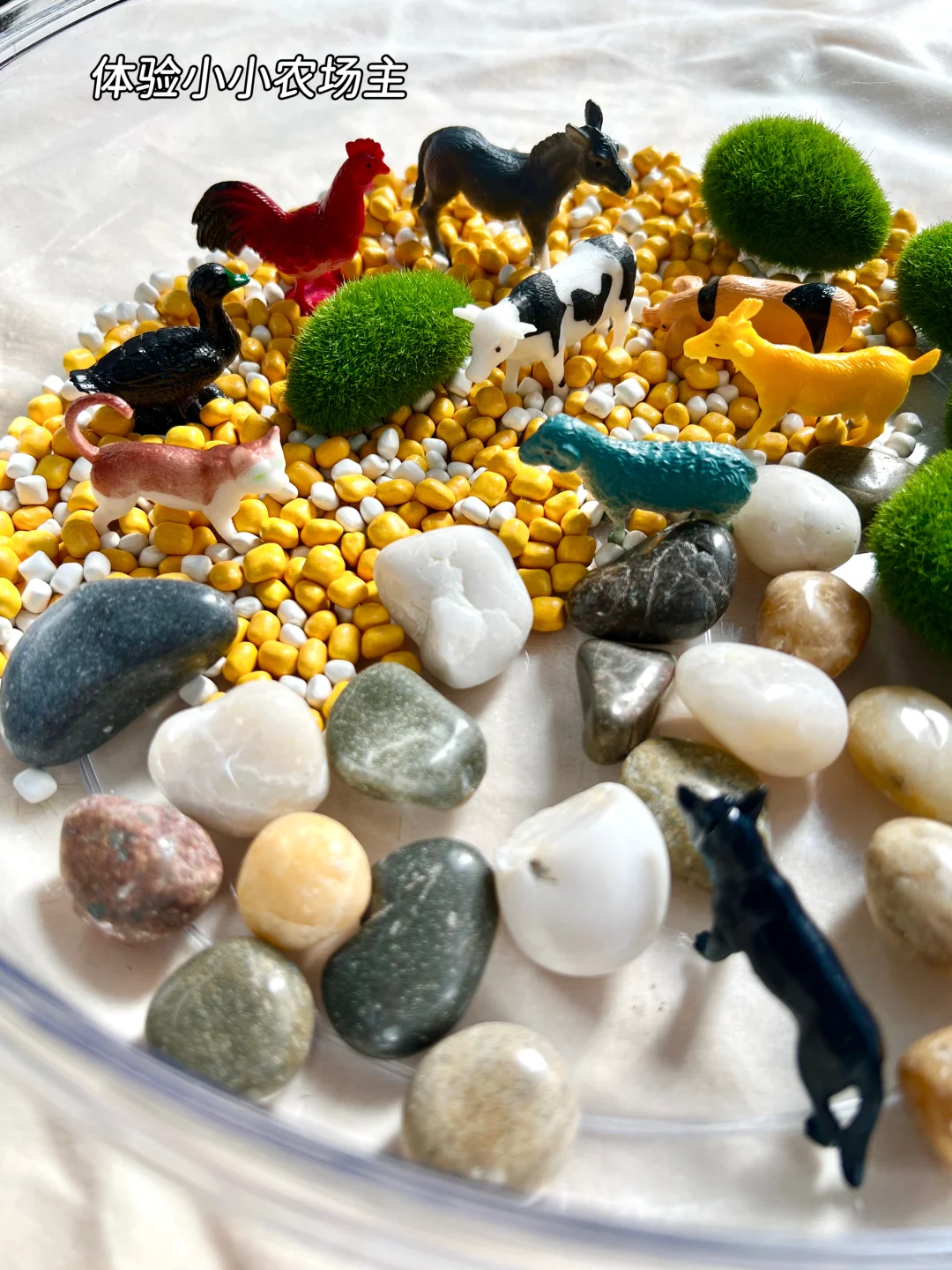 早教感官盆！陪宝宝快乐过家家~