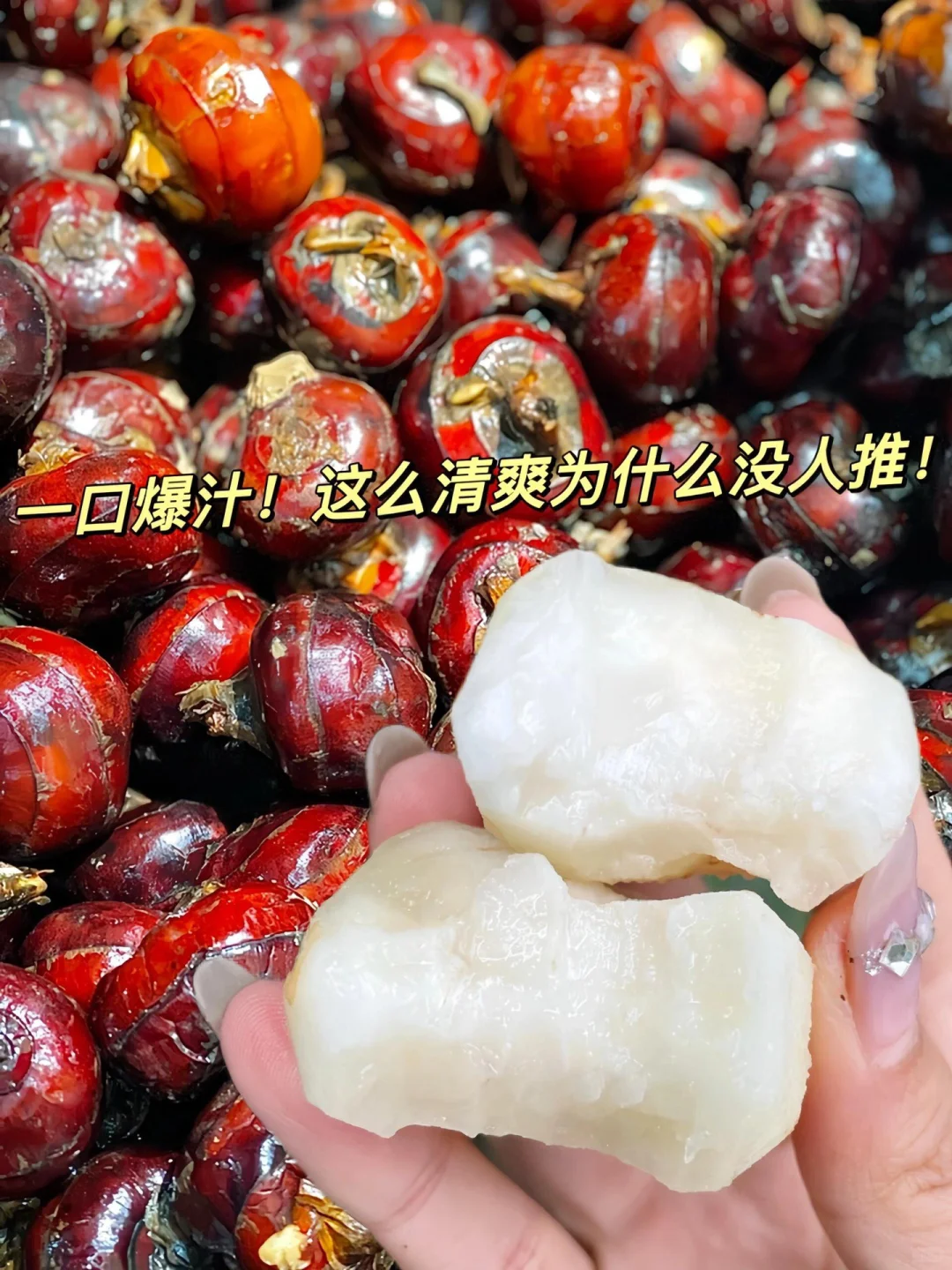 荸荠,你绝对不能错过的绿色果实!?