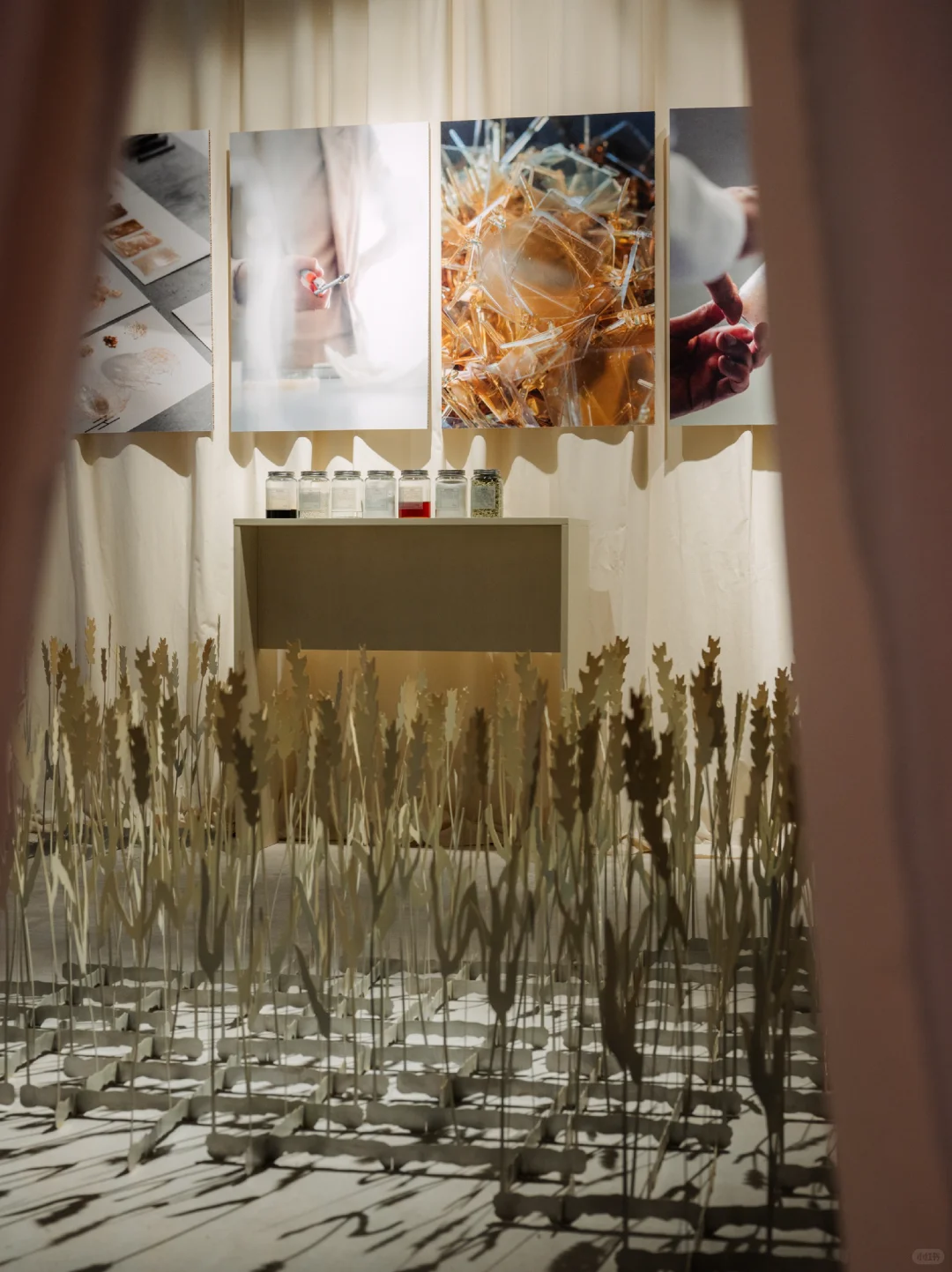 植物基塑料:由植物糖或农业废料制成