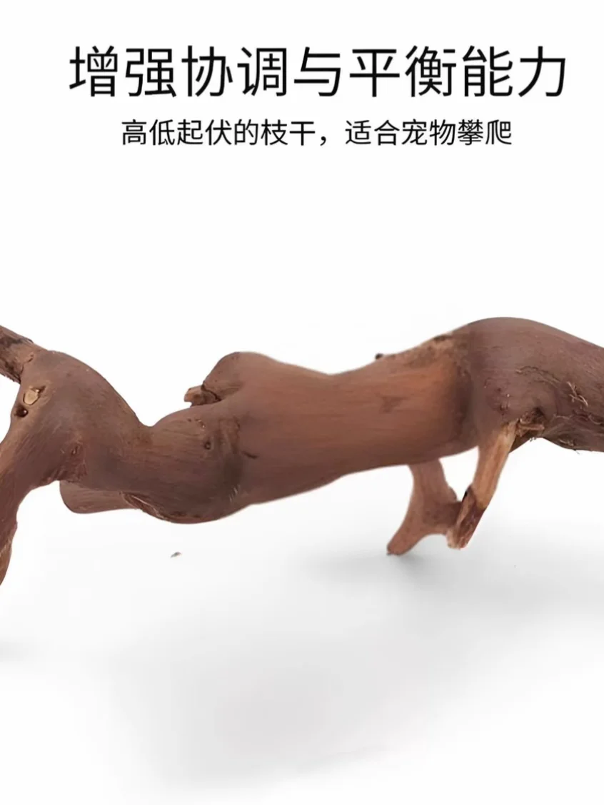 天然葡萄藤隧道+磨牙神器 打造会迷路的趣味