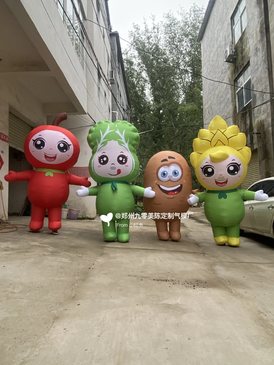 定制蔬菜水果卡通人偶气模，丰收节美陈必备
