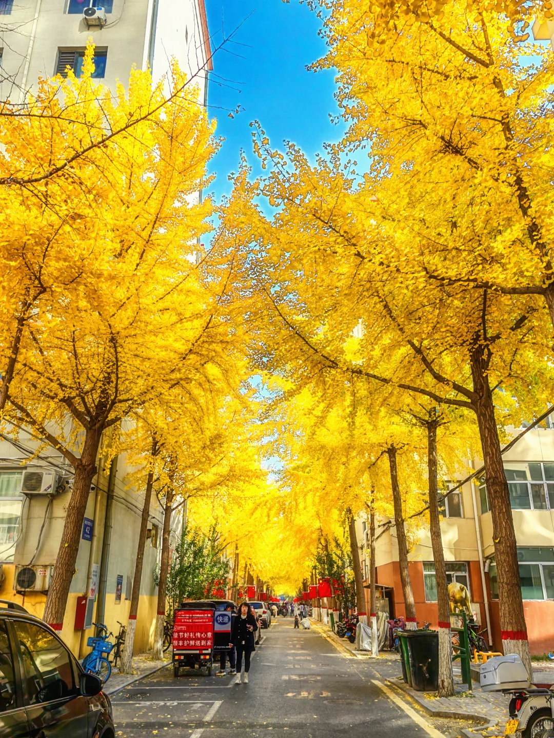 11.4太原老军营银杏?实拍❗(附攻略)