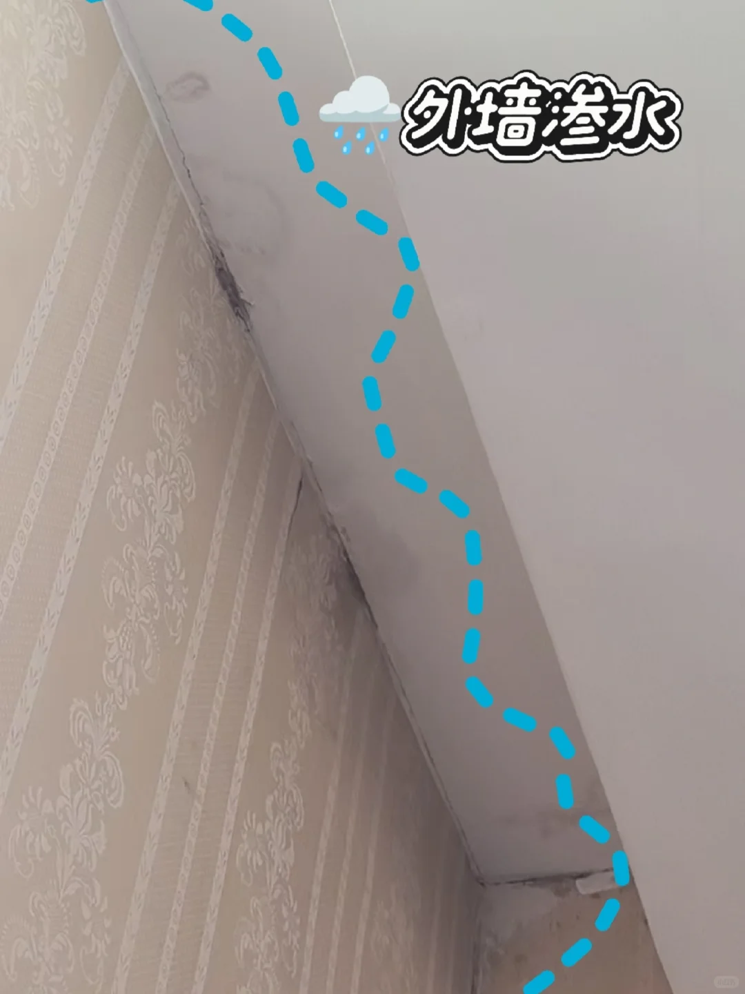 上海雨虹服务｜台风天窗户漏水，外墙渗水