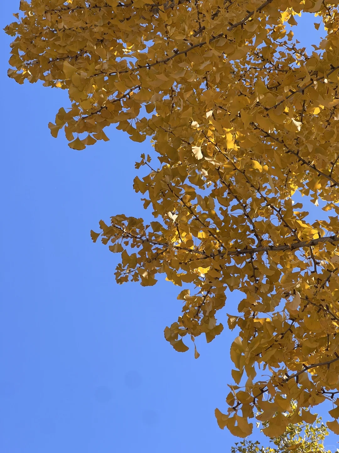 请回答2⃣️0⃣️2⃣️3⃣️（右滑）