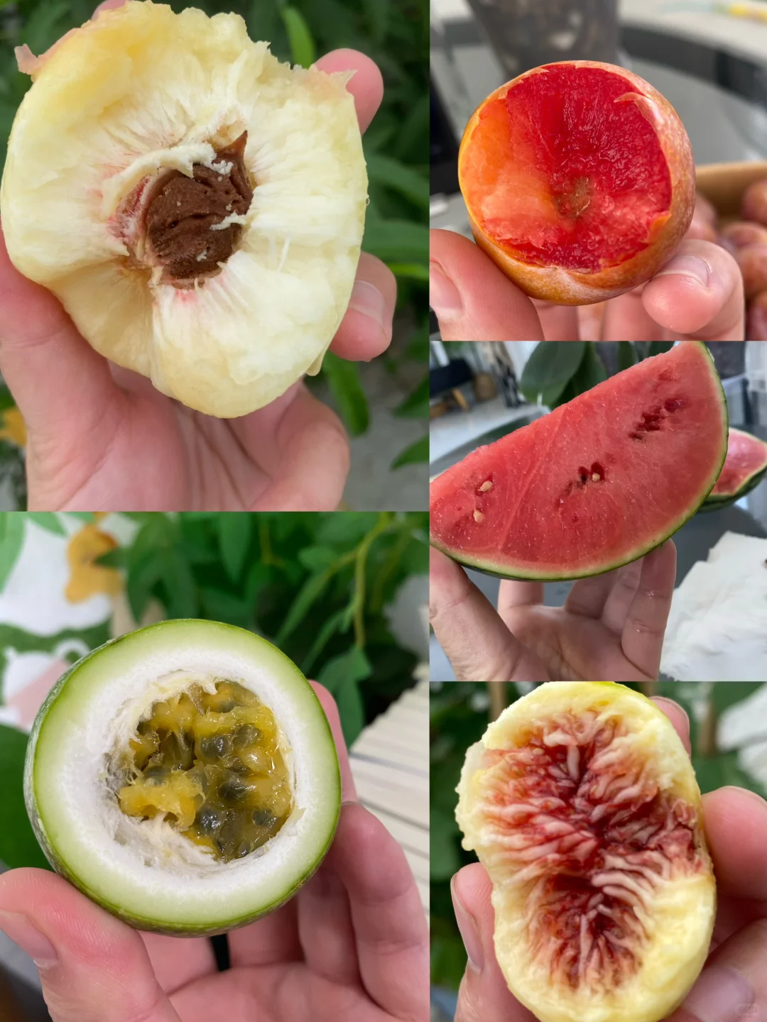 自己种超甜，想吃就吃