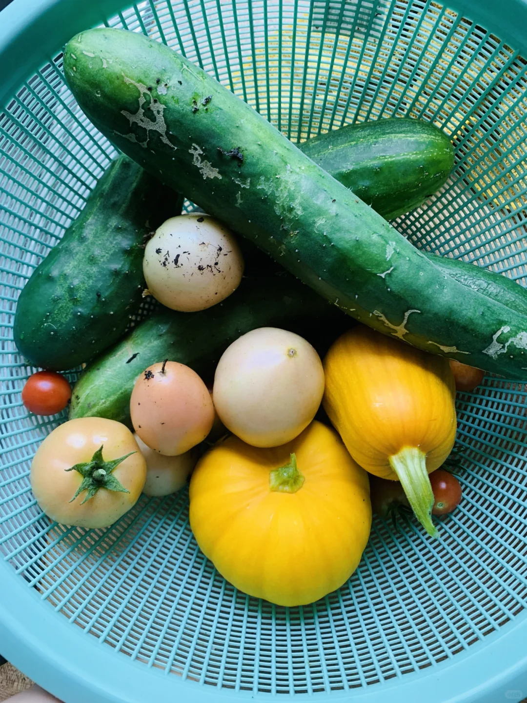 自家种植蔬菜水果