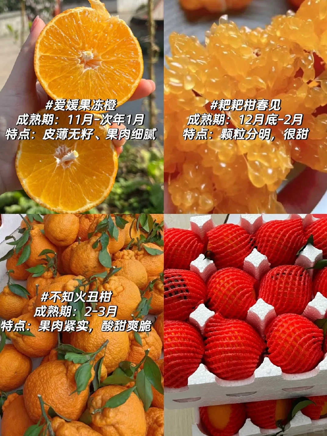 果园里面有什么?