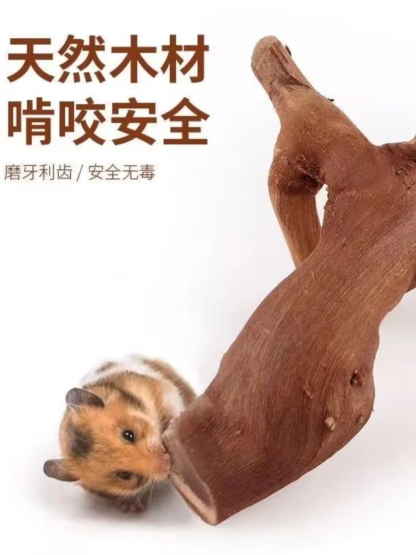 天然葡萄藤隧道+磨牙神器 打造会迷路的趣味