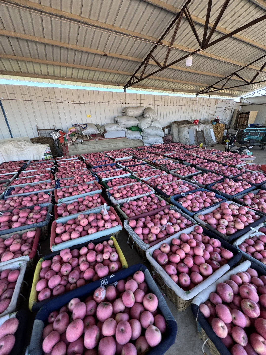 想吃烟台苹果?的，带给你们一点点震撼?