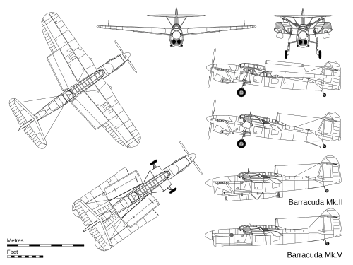 起大早赶晚集的梭鱼