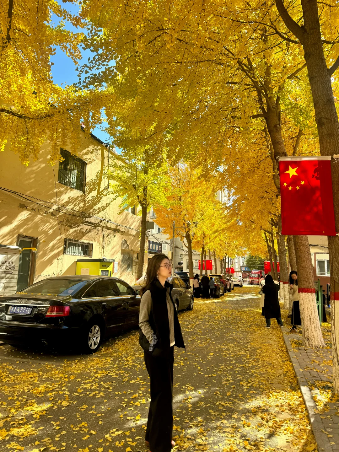 太原银杏地图?｜错过等一年！已是最佳观赏期