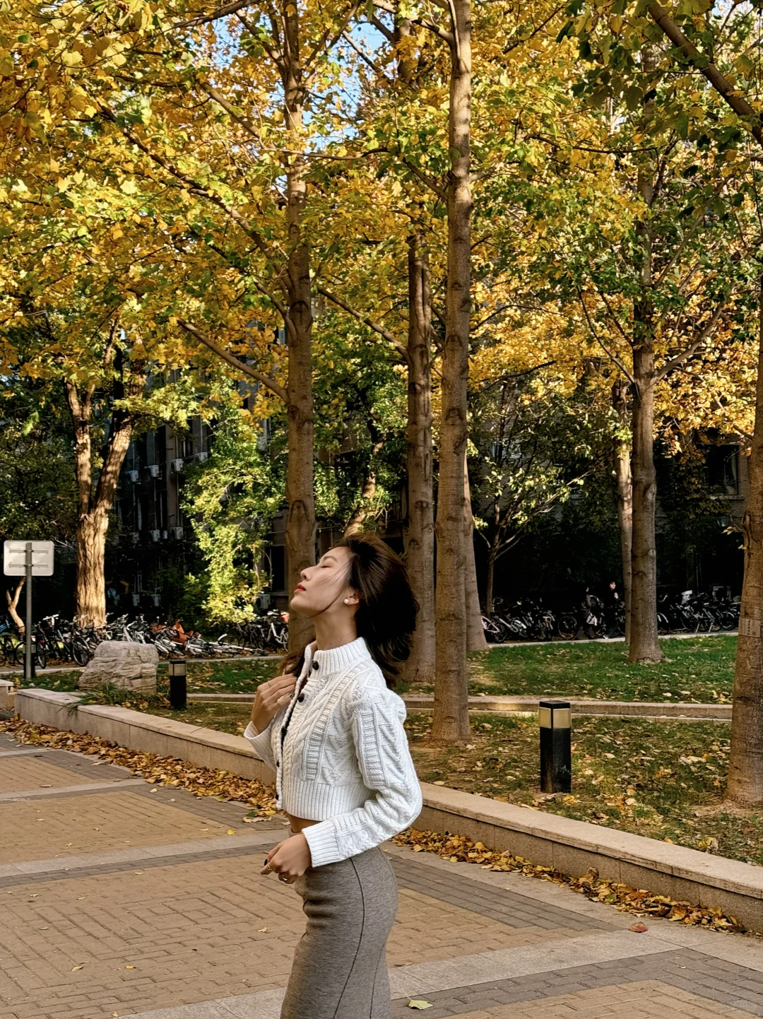 北林｜又送别一秋?