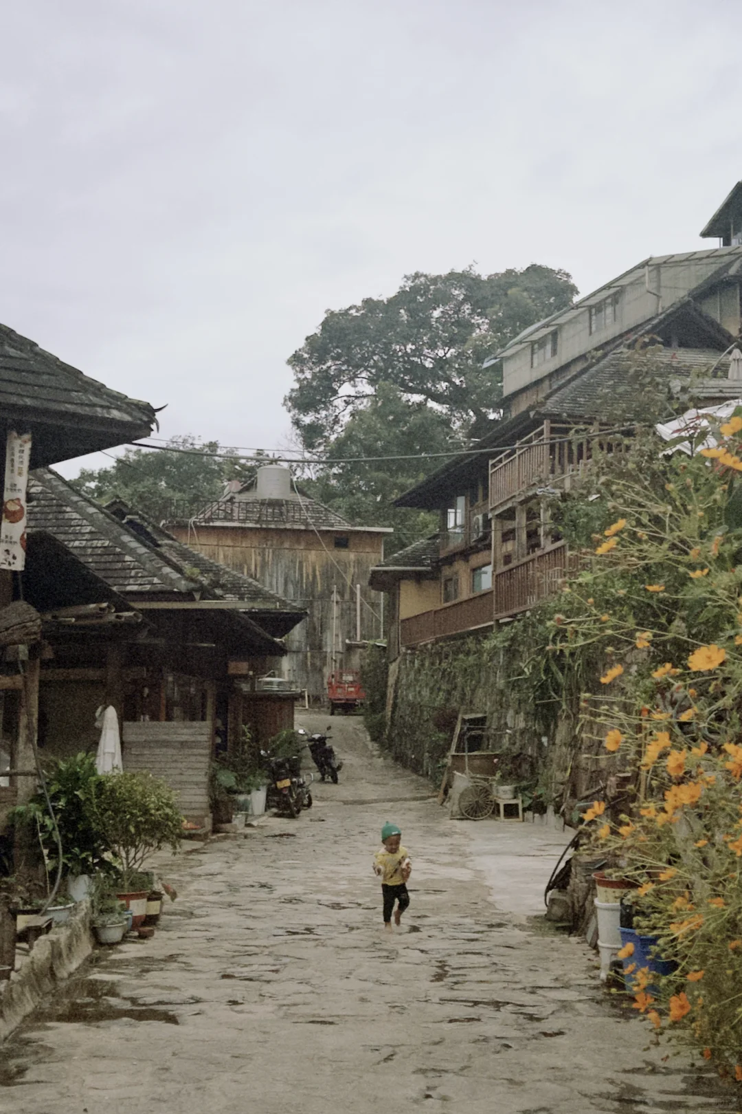 庆幸自己拥有独自探索世界的习惯与能力