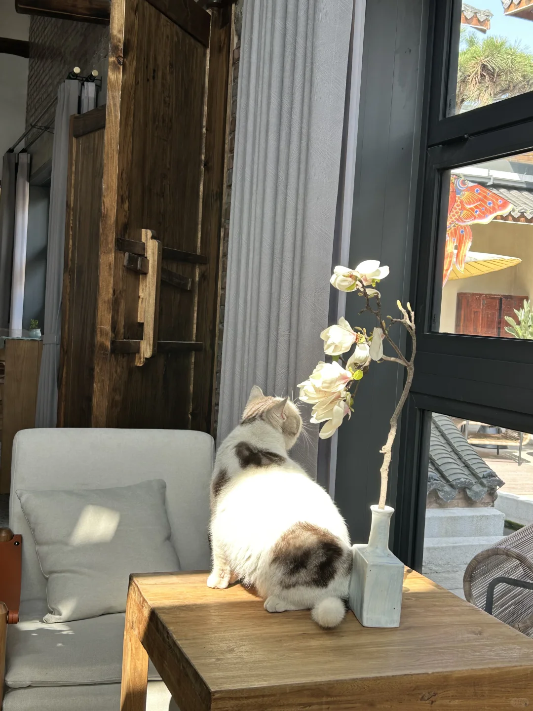 一个人、四个账号、八万关注、彻底不上班了。