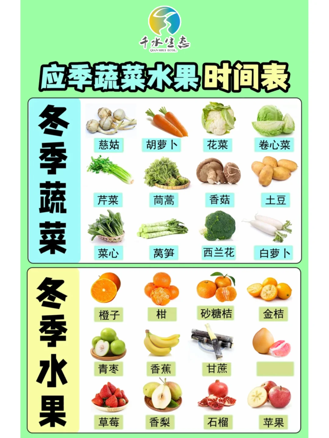 千水生态自然农场|蔬菜水果一览表-冬季
