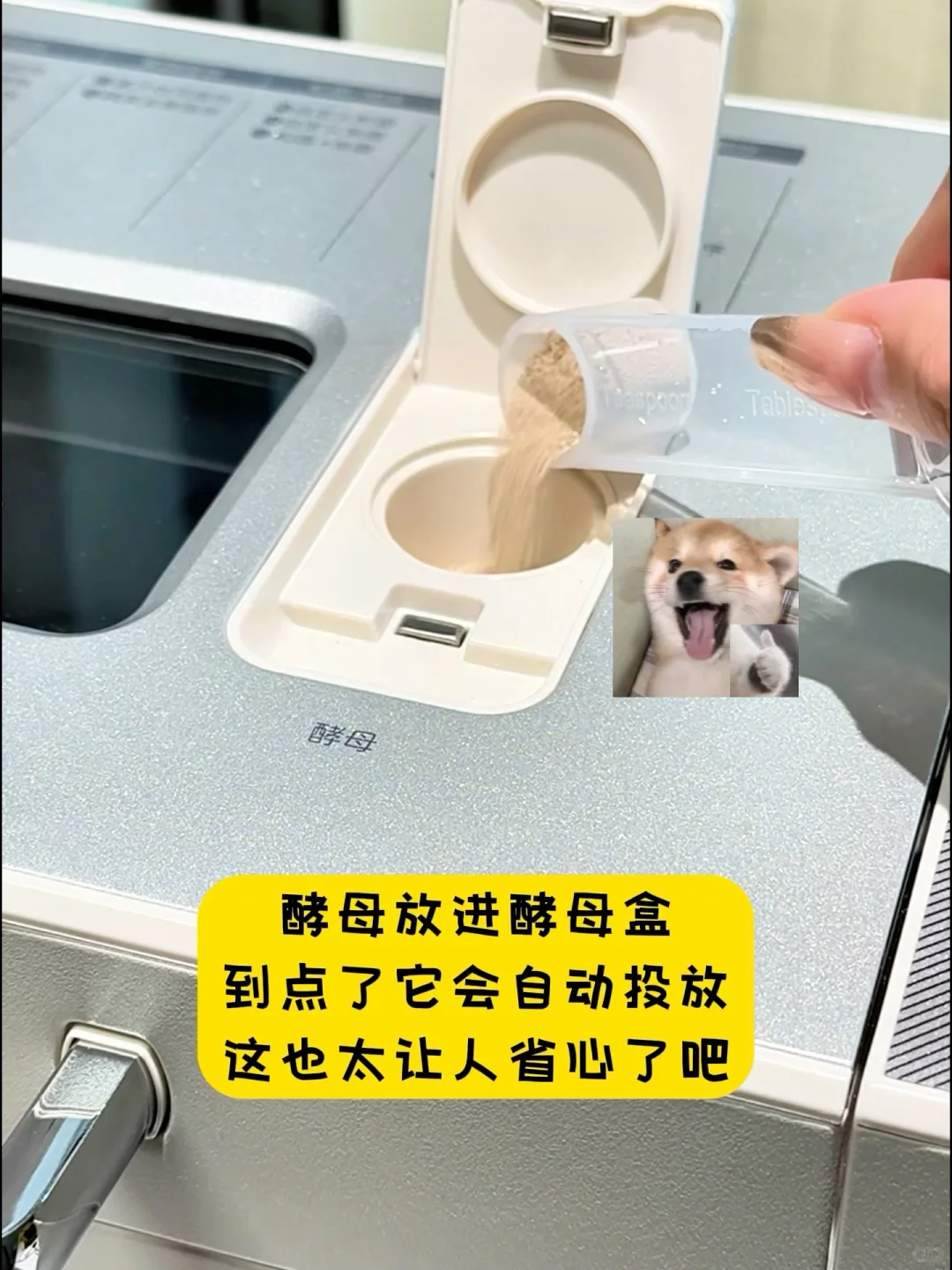 小白烘焙神器!每天吃现烤面包!现在清仓价