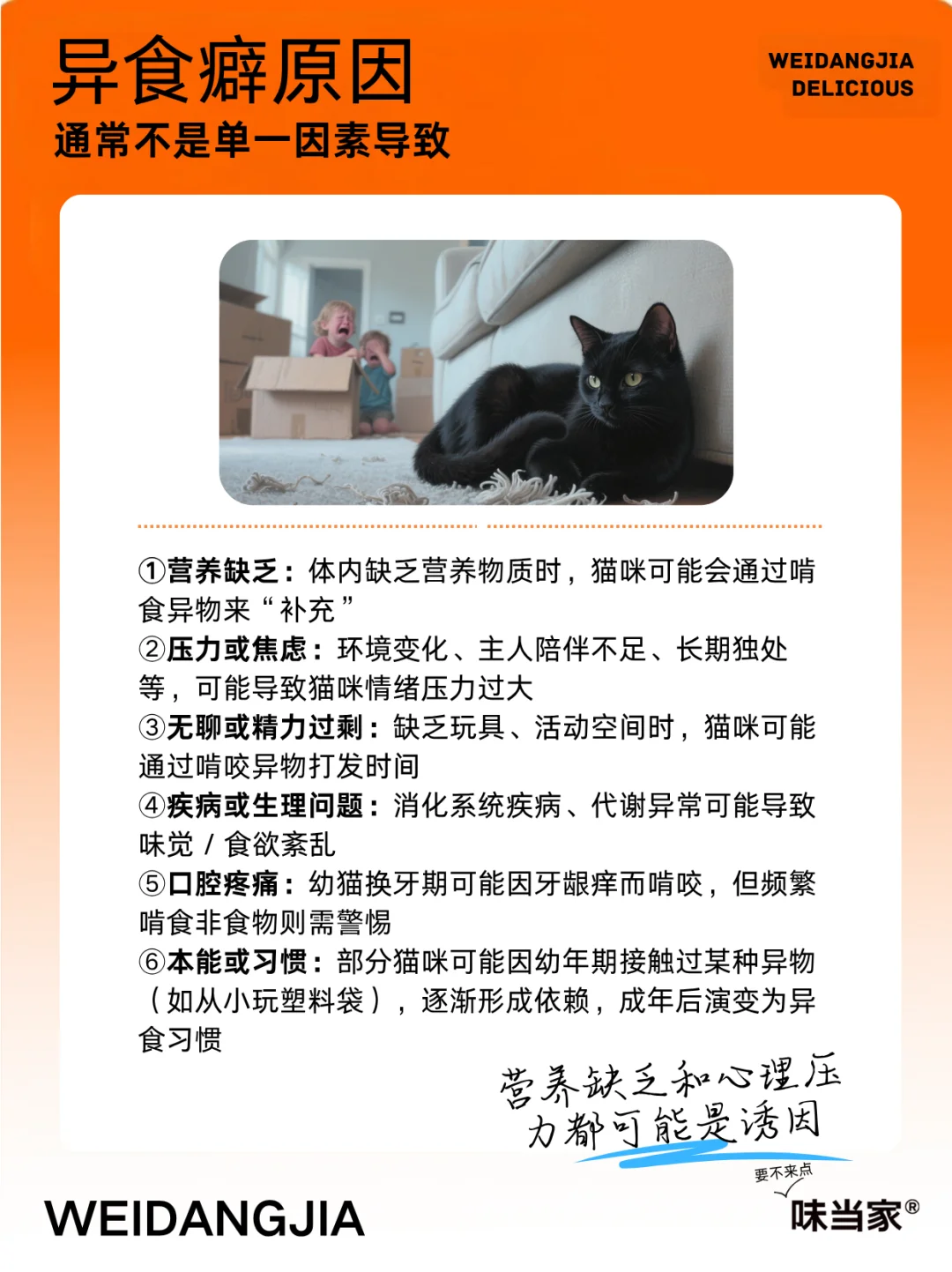 猫吃塑料袋，可能是和异食癖有关