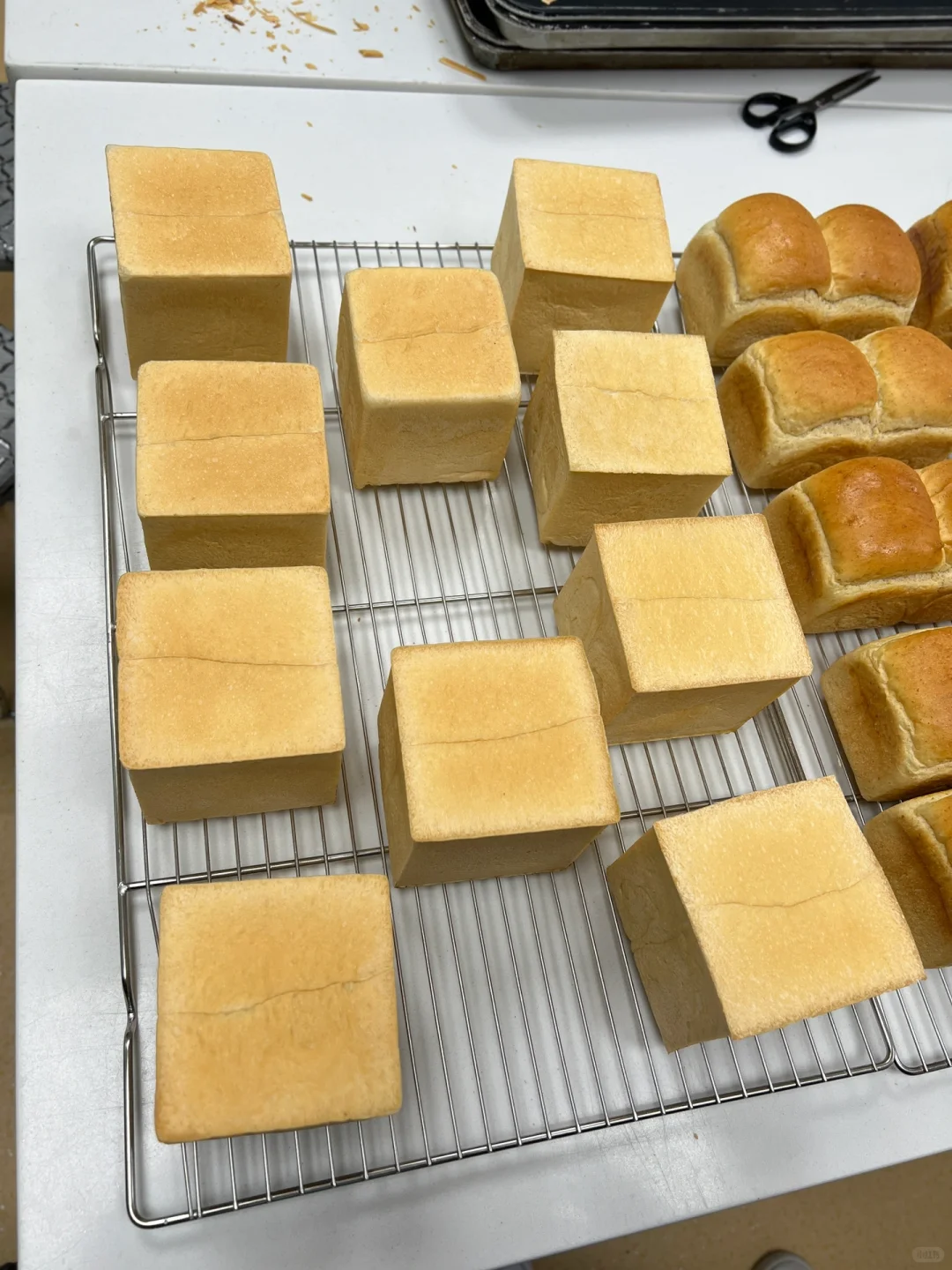 消失的我回国终于学会了做面包?