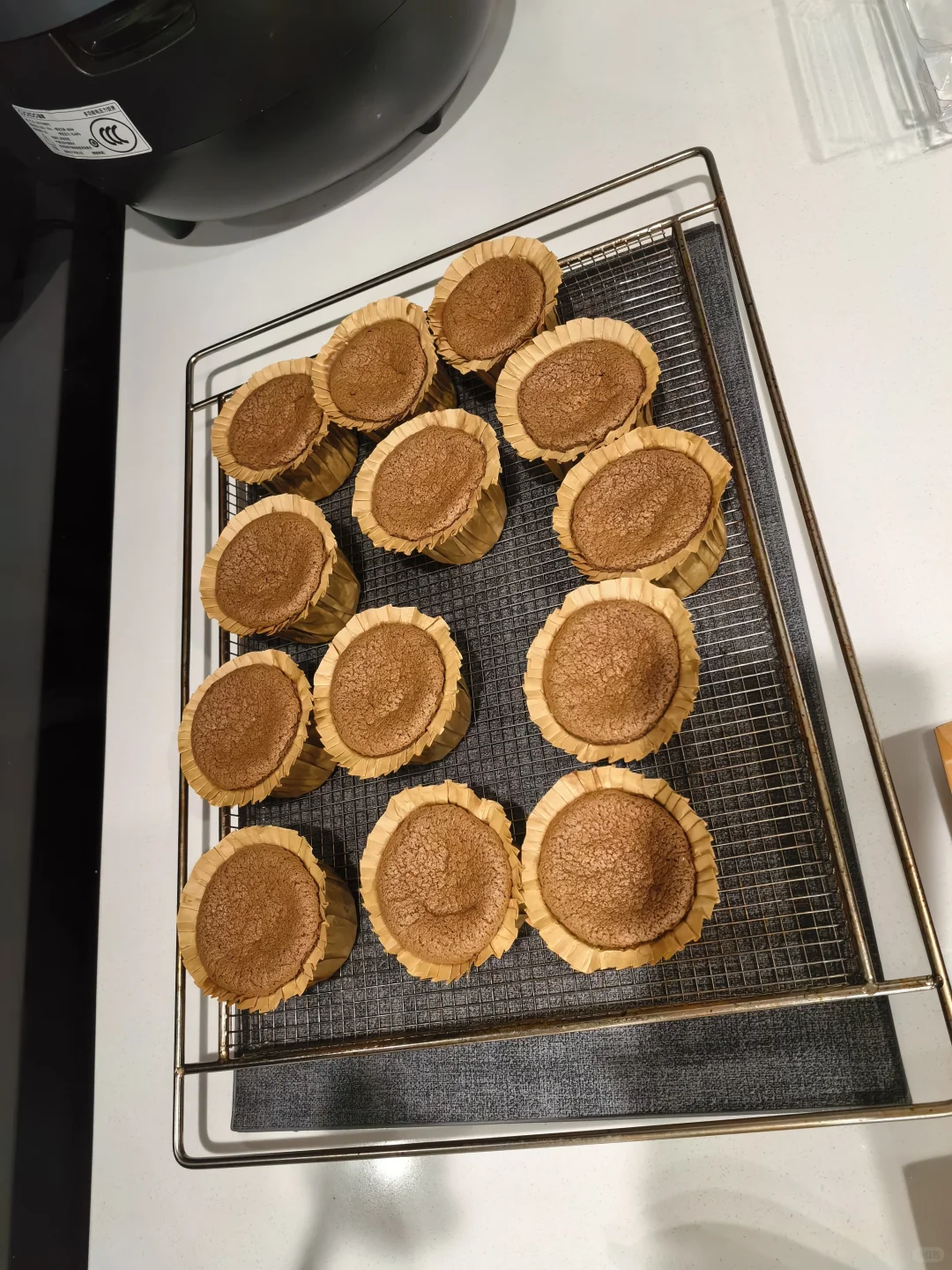 绝绝子~(¯▽¯~)~